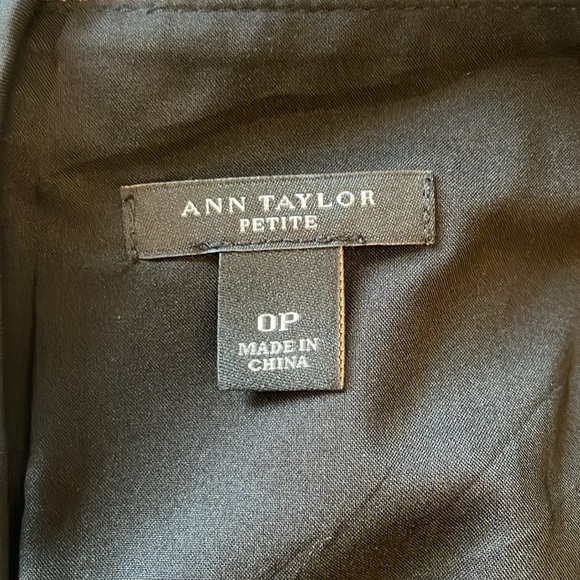 Ann Taylor black mesh panel sleeveless a line dress size 0P - Picture 6 of 8